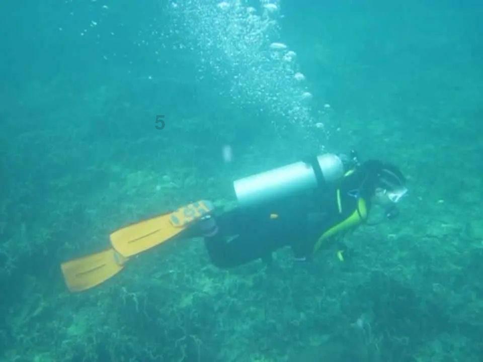 虫虫助手下载