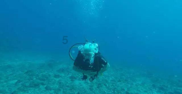 这对明星夫妇带货，60余名商家报警！上海警方已受案侦查