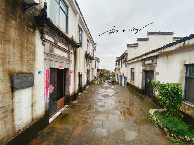 金刚鹦鹉逃生